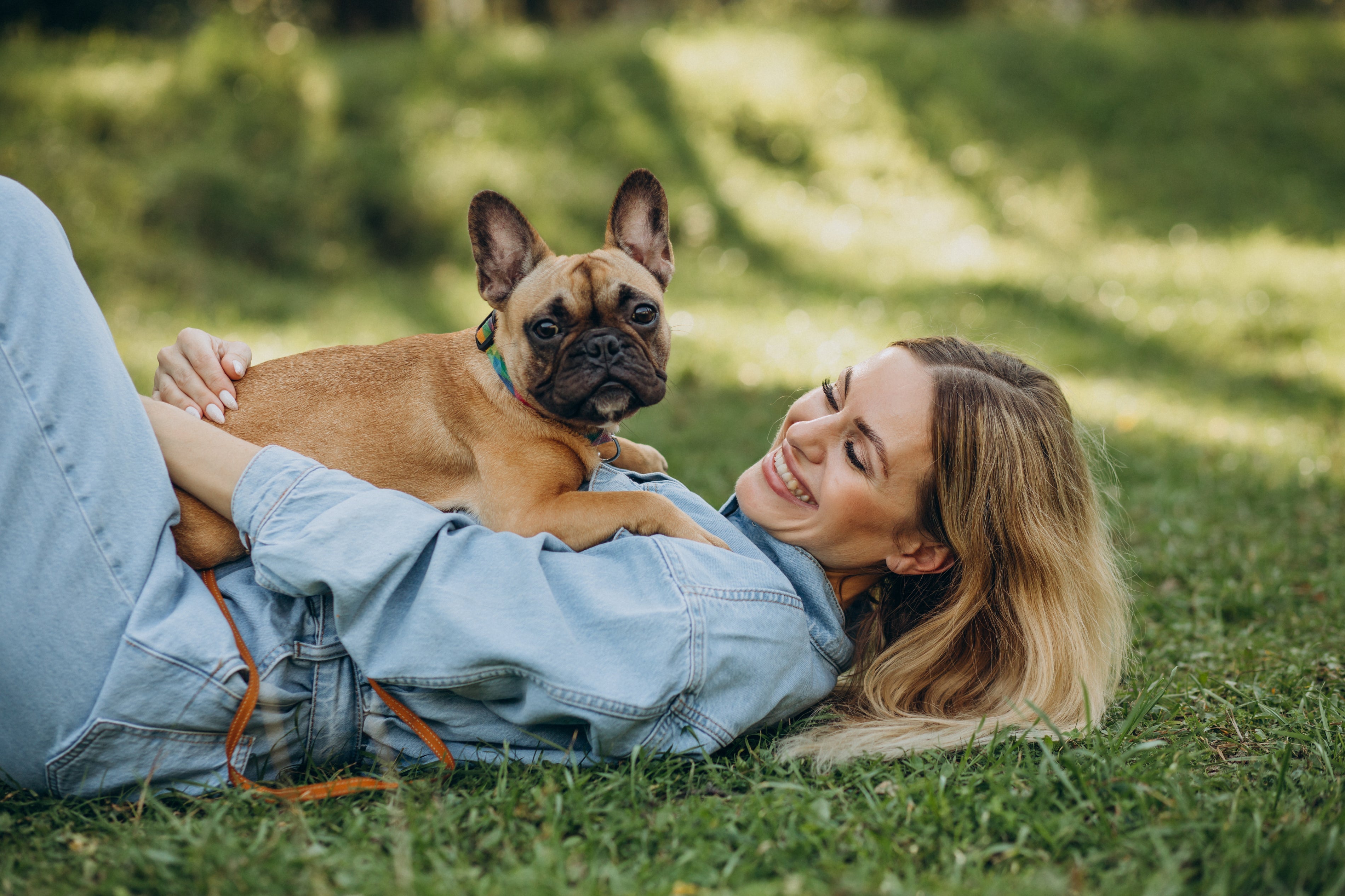 ¿Cuál es la mejor tienda online para comprar accesorios para tu perro en España? 🐾