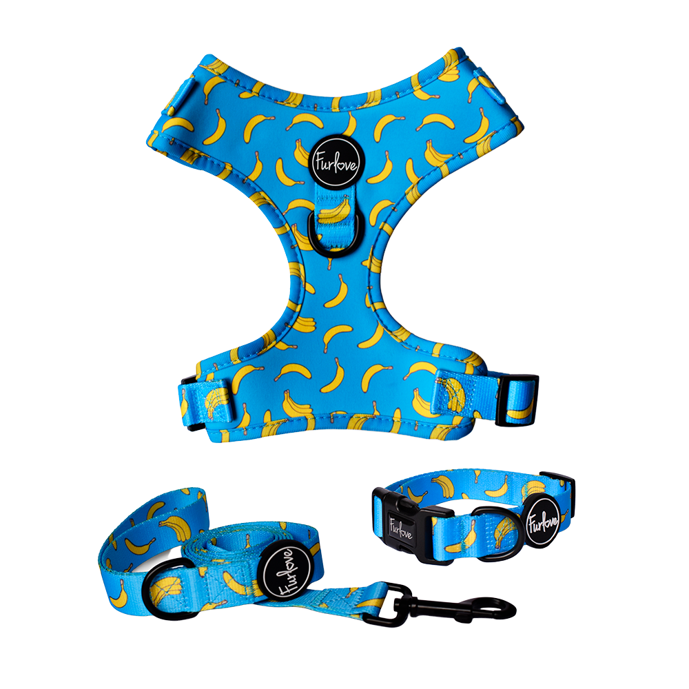 Furlove Walk Set para perros
