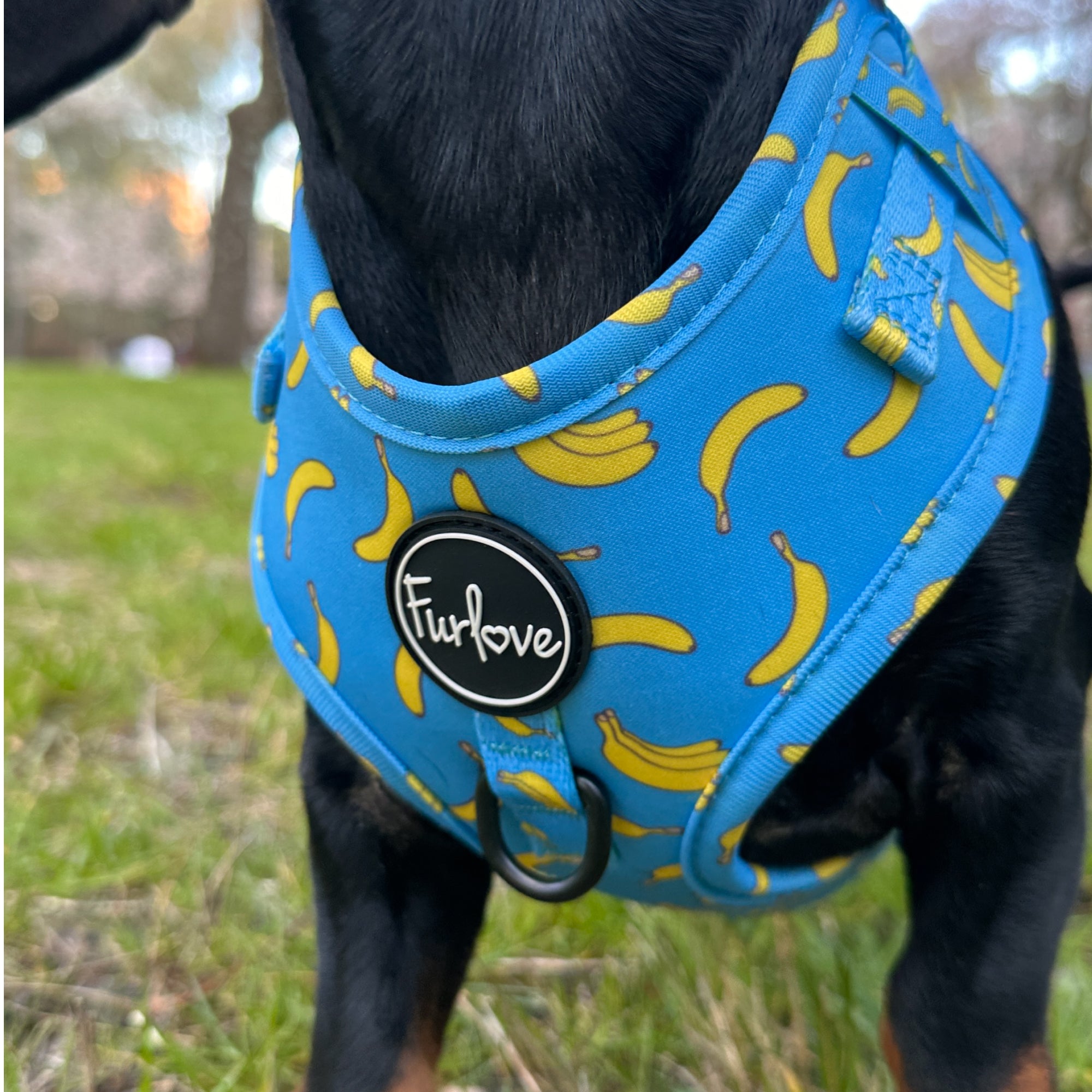 Arnés Antitirones - Banana Vibes 🍌