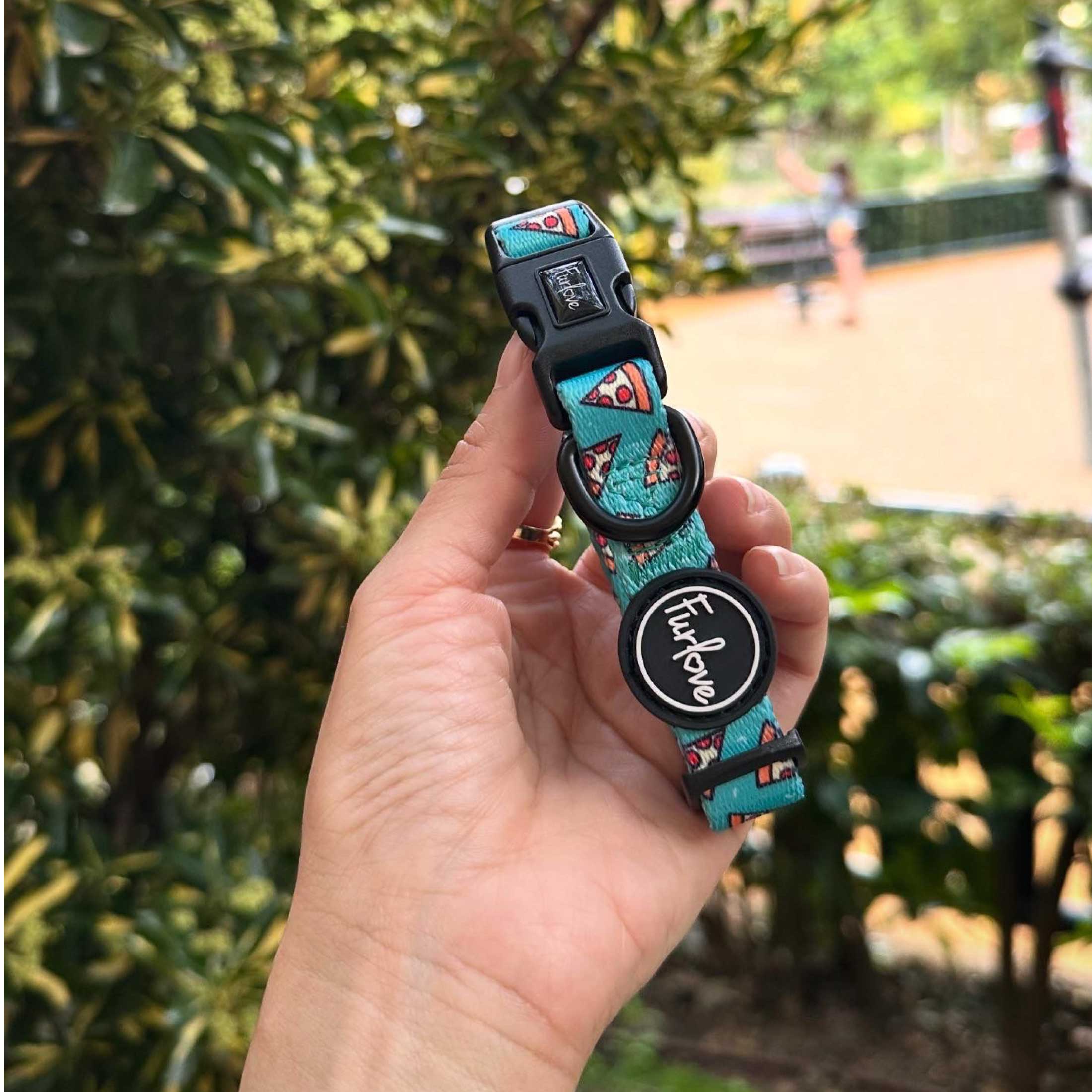 Collar Pizza Deli 🍕