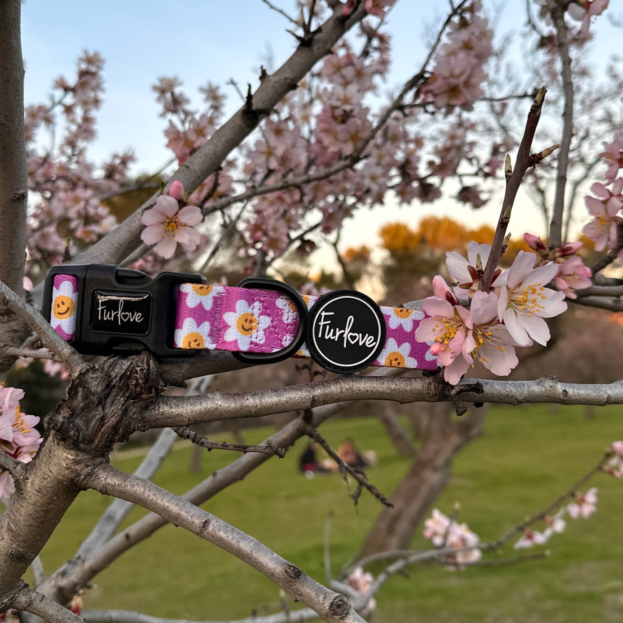 collar de perro happy face