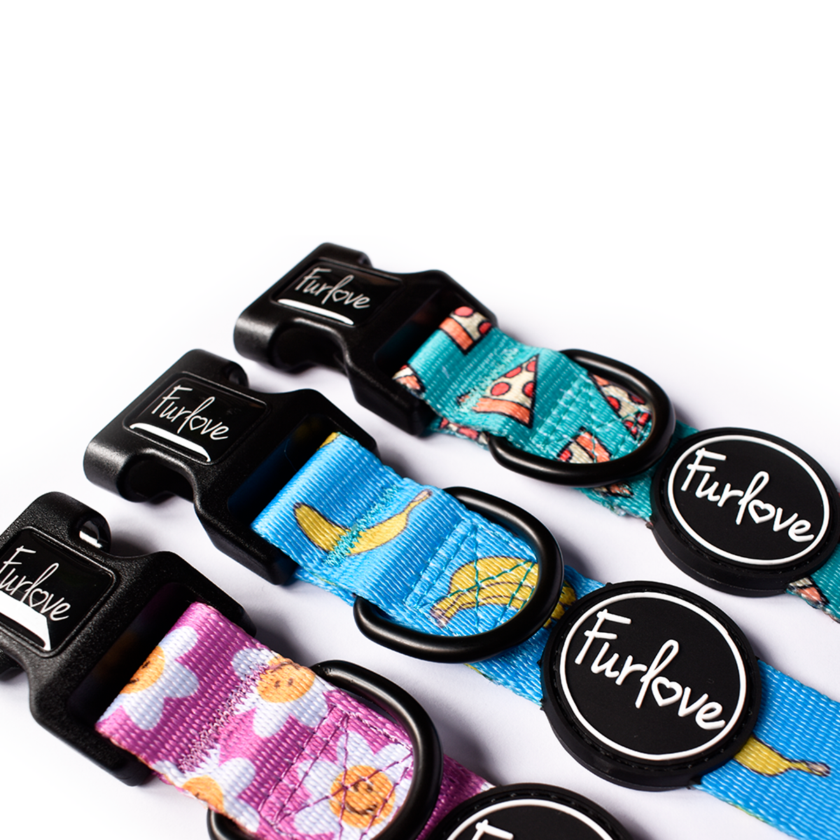 collares ajustables para perros furlove