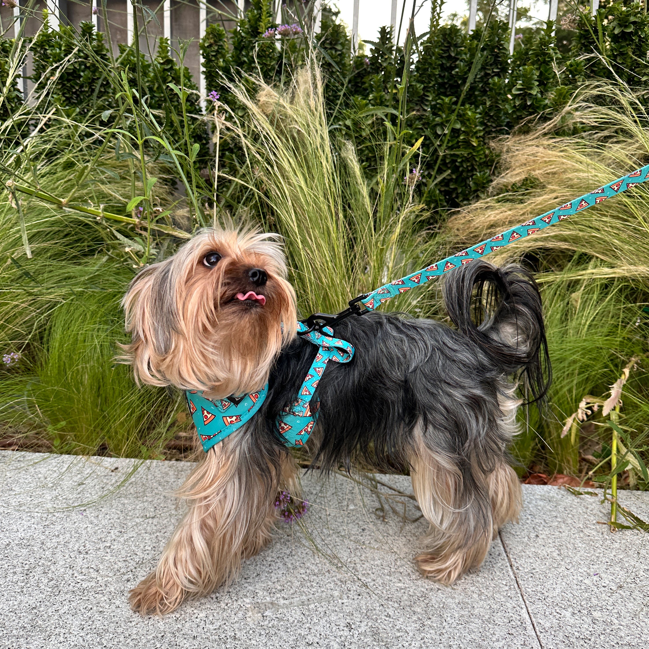 Correa Pizza Deli 🍕