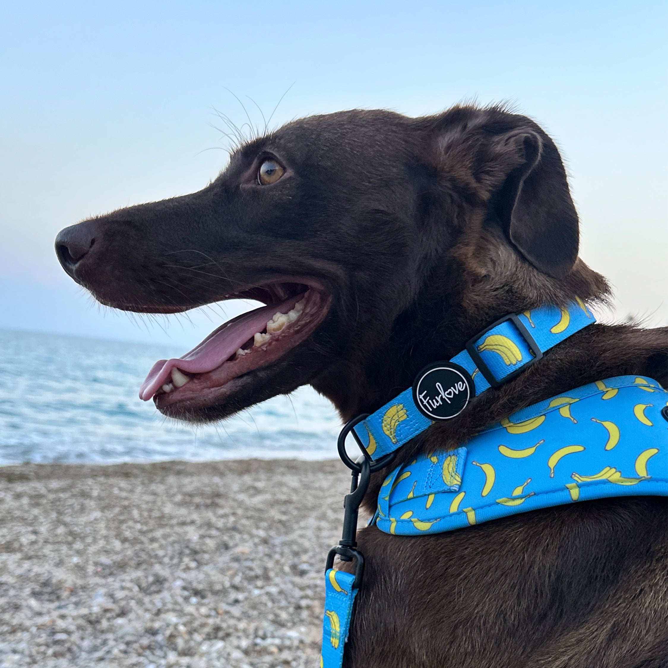 Collar Banana Vibes 🍌