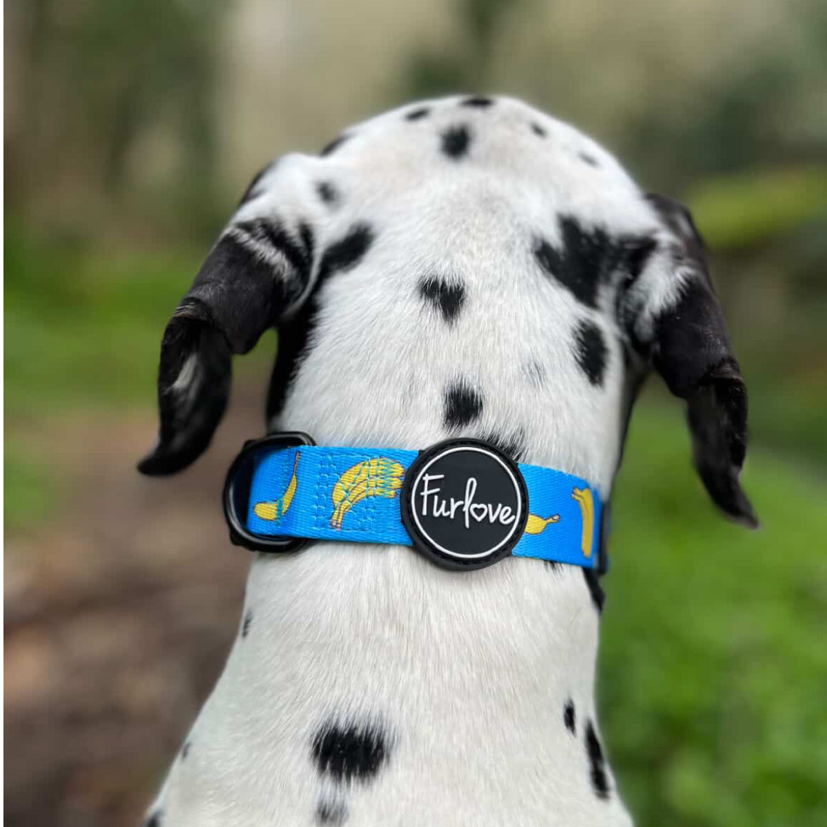 Collar Banana Vibes 🍌